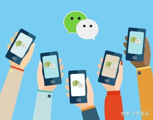 软件应用程序开发与公司网站建设 辨析核心差异与战略选择